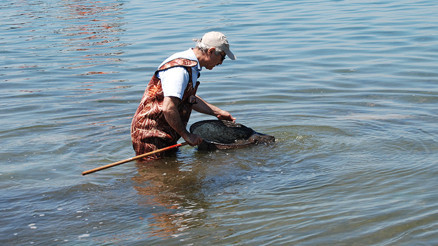Marmarada deniz salyası tedirginliği sürüyor