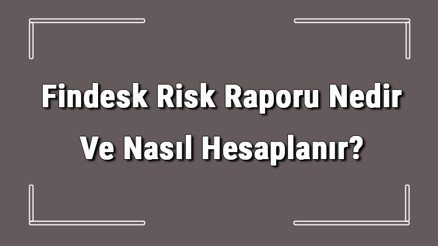 Findesk Risk Raporu Nedir Ve Nasıl Hesaplanır