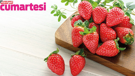 Mis gibi kokusuyla tezgâhlarda