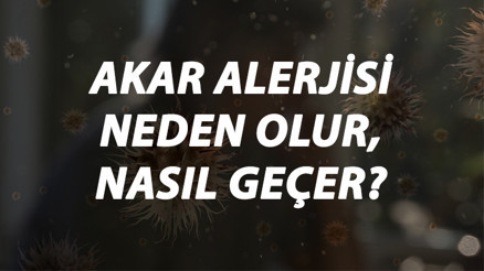 Akar Alerjisi Nedir, Neden Olur Ve Nasıl Geçer Ev Akarı Alerjisi Belirtileri Ve Tedavisi Hakkında Bilgi