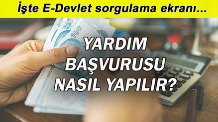 1100 TL yardım başvurusu nasıl yapılır e-Devlet pandemi sosyal destek yardımı sonuç sorgulama ekranı