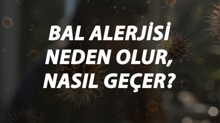 Bal Alerjisi Nedir, Neden Olur Ve Nasıl Geçer Bal Alerjisi Belirtileri Ve Tedavisi Hakkında Bilgi