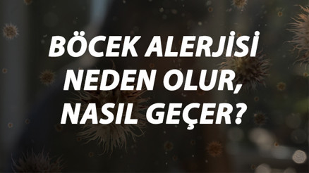 Böcek Alerjisi Nedir, Neden Olur Ve Nasıl Geçer Böcek Alerjisi Belirtileri Ve Tedavisi Hakkında Bilgi