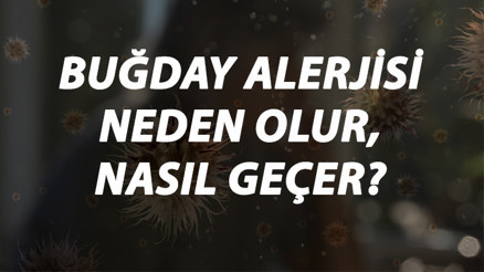 Buğday Alerjisi Nedir, Neden Olur Ve Nasıl Geçer Buğday Alerjisi Belirtileri Ve Tedavisi Hakkında Bilgi Buğday Alerjisi Nedir, Neden Olur Ve Nasıl Geçer Buğday Alerjisi Belirtileri Ve Tedavisi Hakkında Bilgi