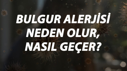Bulgur Alerjisi Nedir, Neden Olur Ve Nasıl Geçer Bulgur Alerjisi Belirtileri Ve Tedavisi Hakkında Bilgi