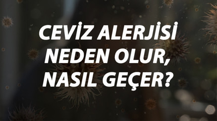 Ceviz Alerjisi Nedir, Neden Olur Ve Nasıl Geçer Ceviz Alerjisi Belirtileri Ve Tedavisi Hakkında Bilgi