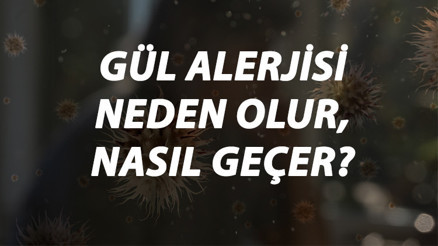 Gül Alerjisi Nedir, Neden Olur Ve Nasıl Geçer Gül Alerjisi Belirtileri Ve Tedavisi Hakkında Bilgi