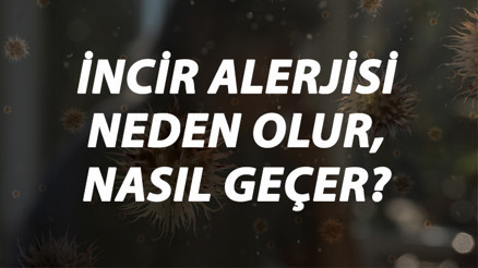 İncir Alerjisi Nedir, Neden Olur Ve Nasıl Geçer İncir Alerjisi Belirtileri Ve Tedavisi Hakkında Bilgi