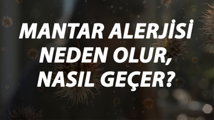 Mantar Alerjisi Nedir, Neden Olur Ve Nasıl Geçer Mantar Alerjisi Belirtileri Ve Tedavisi Hakkında Bilgi