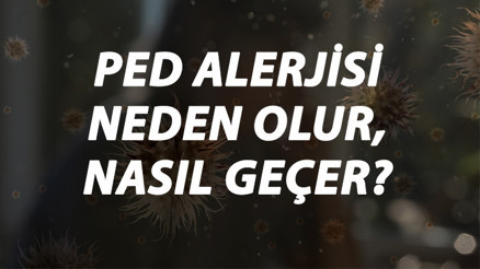 Ped Alerjisi Nedir, Neden Olur Ve Nasıl Geçer Ped Alerjisi Belirtileri Ve Tedavisi Hakkında Bilgi