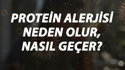 Protein Alerjisi Nedir, Neden Olur Ve Nasıl Geçer Protein Alerjisi Belirtileri Ve Tedavisi Hakkında Bilgi