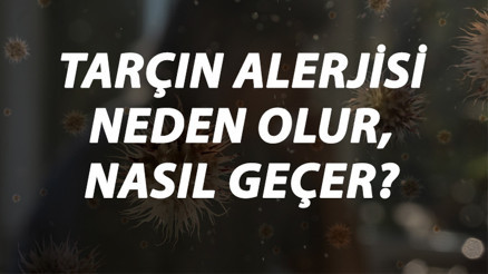 Tarçın Alerjisi Nedir, Neden Olur Ve Nasıl Geçer Tarçın Alerjisi Belirtileri Ve Tedavisi Hakkında Bilgi