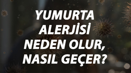Yumurta Alerjisi Nedir, Neden Olur Ve Nasıl Geçer Yumurta Alerjisi Belirtileri Ve Tedavisi Hakkında Bilgi