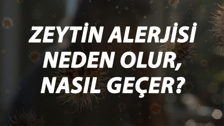 Zeytin Alerjisi Nedir, Neden Olur Ve Nasıl Geçer Zeytin Alerjisi Belirtileri Ve Tedavisi Hakkında Bilgi