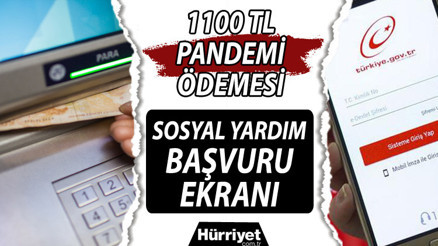 1100 TL pandemi yardımı (sosyal yardım) başvurusu nasıl yapılır, kimleri kapsar E-Devletten T.C kimlik no ile başvuru ve sonuç sorgulama ekranı