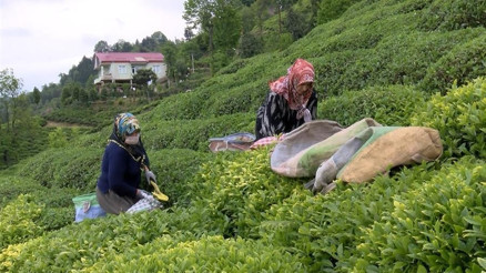 30 bin kişi akın etti, validen uyarı geldi Günlük 300 TL... 30 bin kişi akın etti, validen uyarı geldi Günlük 300 TL...
