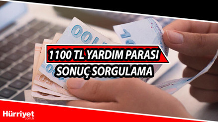 1100 TL yardım parası e devlet sorgulama ekranı Pandemi sosyal destek yardımı yattı mı