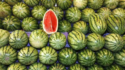 Karpuz üreticileri fiyattan memnun