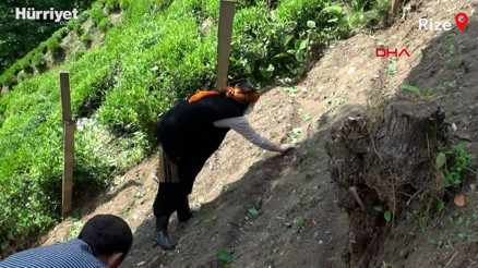 Rizede kenevir ipliğinden kumaş üretimi yaygınlaşıyor