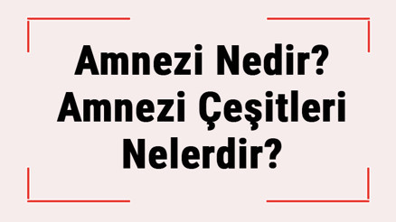 Amnezi Nedir Amnezi Çeşitleri Nelerdir Amnezi (Hafıza Kaybı) Neden Olur
