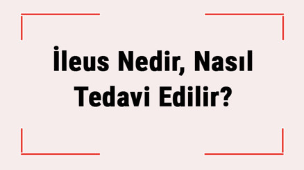 İleus Nedir, Nasıl Tedavi Edilir Bağırsak Tıkanıklığı Tanısı Ve Belirtileri Nelerdir