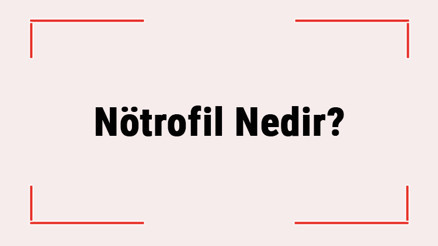 Nötrofil Nedir Nötrofil Yüksekliği Ve Düşüklüğü Nedir Normal Değeri Kaç Olmalı