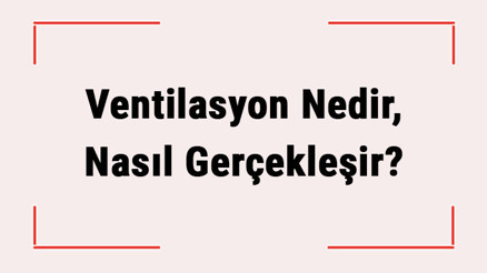Ventilasyon Nedir, Nasıl Gerçekleşir Pulmoner Ve Alveoler Ventilasyon Terimlerinin Anlamları Ventilasyon Nedir, Nasıl Gerçekleşir Pulmoner Ve Alveoler Ventilasyon Terimlerinin Anlamları