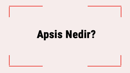 Apsis Nedir Nasıl Bulunur Aosis Ordinat Nedir Apsis Nedir Nasıl Bulunur Aosis Ordinat Nedir