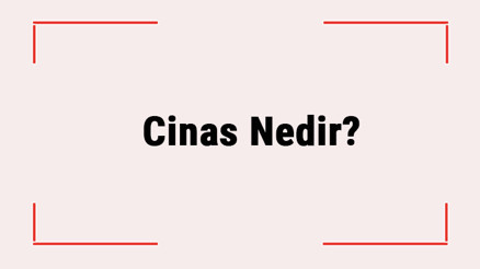 Cinas Nedir Edebiyatta Cinas Ne Anlama Gelir Türkçede Kullanılan Cinas Örnekleri