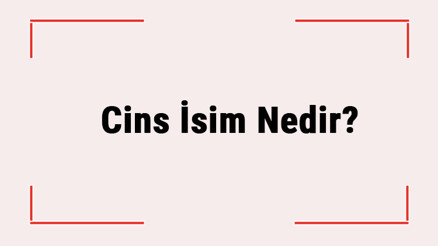 Cins İsim Nedir Özel İsimden Farkı Nedir Türkçede Kullanılan Cins İsim Örnekleri Cins İsim Nedir Özel İsimden Farkı Nedir Türkçede Kullanılan Cins İsim Örnekleri