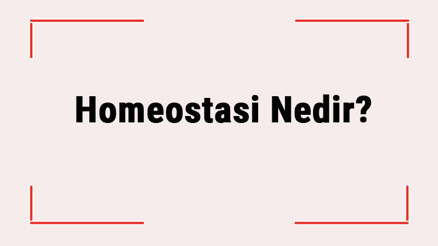 Homeostasi Nedir Canlılarda Ortak Özellik Midir Homeostasi Hakkında Örnekler Ve Bilgiler Homeostasi Nedir Canlılarda Ortak Özellik Midir Homeostasi Hakkında Örnekler Ve Bilgiler