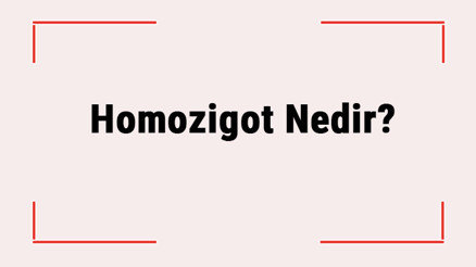 Homozigot Nedir Resesif, Çekinik, Domant Ne Anlama Gelir Homozigot Nedir Resesif, Çekinik, Domant Ne Anlama Gelir