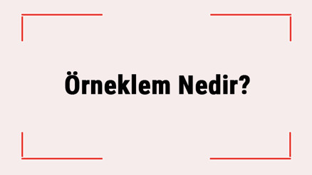 Örneklem Nedir Örneklem Büyüklüğü Nedir Örneklem Seçme Yöntemleri