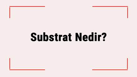 Substrat Nedir Substrat Özellikleri Ve Görevleri Nelerdir