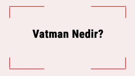 Vatman Nedir Vatman Ne İş Yapar Tren Sürücüsü Nasıl Olunur