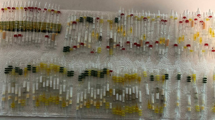 Hepsi ele geçirildi 3 milyon lira değerinde.. Hepsi ele geçirildi 3 milyon lira değerinde..