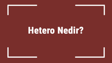 Hetero Nedir Hetero Kelimesinin Tdkya Göre Sözlük Anlamı
