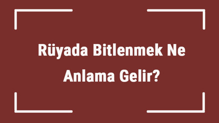 Rüyada Bitlenmek Ne Anlama Gelir Rüyada Bitlendiğini Ya Da Bitlenmiş Birini Görmenin Tabiri