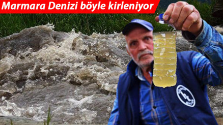 Son dakika: Marmara Denizi böyle kirleniyor Bursada korkutan görüntü... Katran gibi