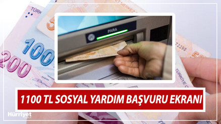 Sosyal yardım başvuru ve sonuç sorgulama ekranı: 1100 TL pandemi yardımı (sosyal yardım) E-Devlet ekranı