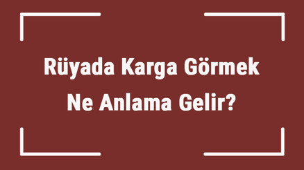 Rüyada Karga Görmek Ne Anlama Gelir Rüyada Karga Beslemek Ve Tutmak Tabiri