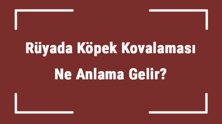 Rüyada Köpek Kovalaması Ne Anlama Gelir Rüyada Eski Sevgiliyi Ve Eşini Köpek Kovalaması