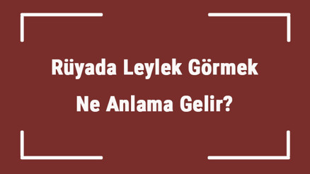 Rüyada Leylek Görmek Ne Anlama Gelir Rüyada Leylek Sürüsü Saldırması Ve Leylek Beslemenin Tabiri