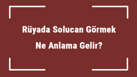 Rüyada Solucan Görmek Ne Anlama Gelir Rüyada Solucan Öldürmek Ve Atmak Tabiri