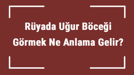 Rüyada Uğur Böceği Görmek Ne Anlama Gelir Rüyada Uğur Böceğini Eline Almak Ve Uğur Böceği Isırması Tabiri