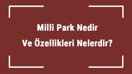 Milli Park Nedir Ve Özellikleri Nelerdir Ülkemizde Kaç Tane Milli Park Vardır Ve Örnekleri Milli Park Nedir Ve Özellikleri Nelerdir Ülkemizde Kaç Tane Milli Park Vardır Ve Örnekleri