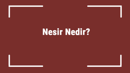 Nesir Nedir Edebiyatta Nesir Örnekleri Ve Hakkında Bilgi