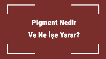 Pigment Nedir Ve Ne İşe Yarar Pigment Nasıl Elde Edilir Ve Kullanılır