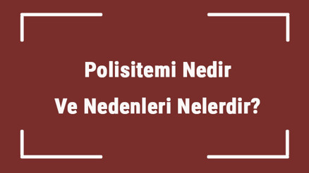Polisitemi Nedir Ve Nedenleri Nelerdir Polisitemi Hastalığı Belirtileri Ve Tedavisi Hakkında Bilgi