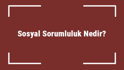 Sosyal Sorumluluk Nedir Sosyal Sorumluluk Projeleri, Örnekleri Ve Fikirleri